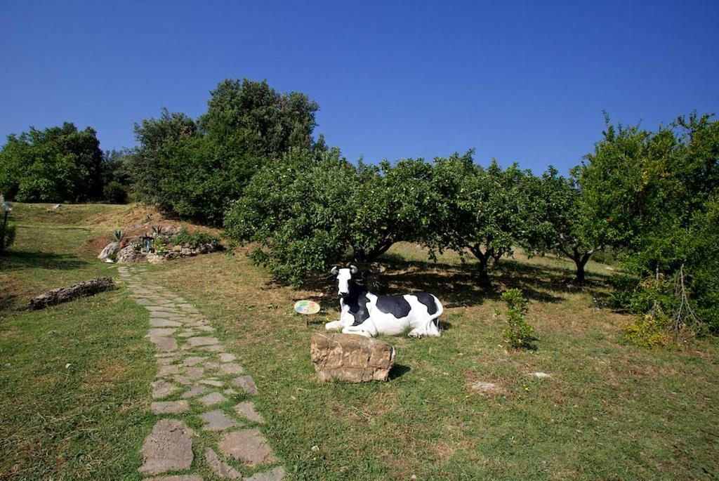 Willa Casa Conti Di Sotto Gavorrano Zewnętrze zdjęcie